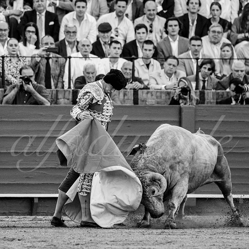 20240412 sevilla 023 bd