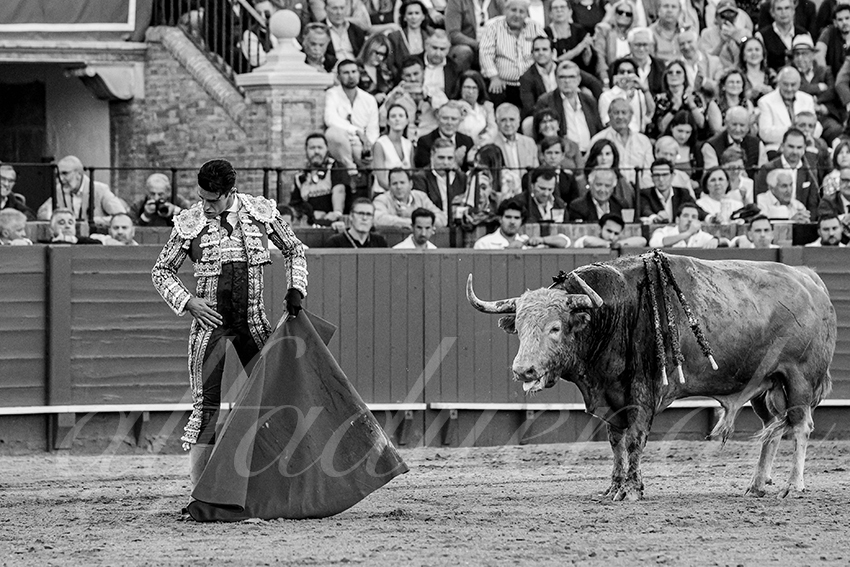 20240412 sevilla 020 bd