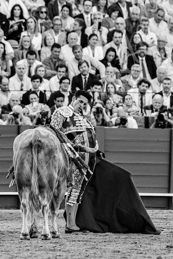 20240412 sevilla 018 bd