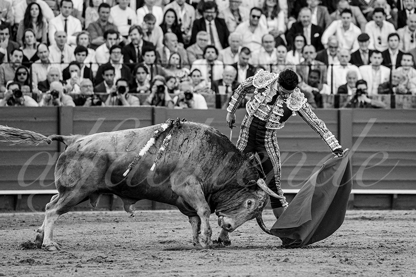 20240412 sevilla 016 bd