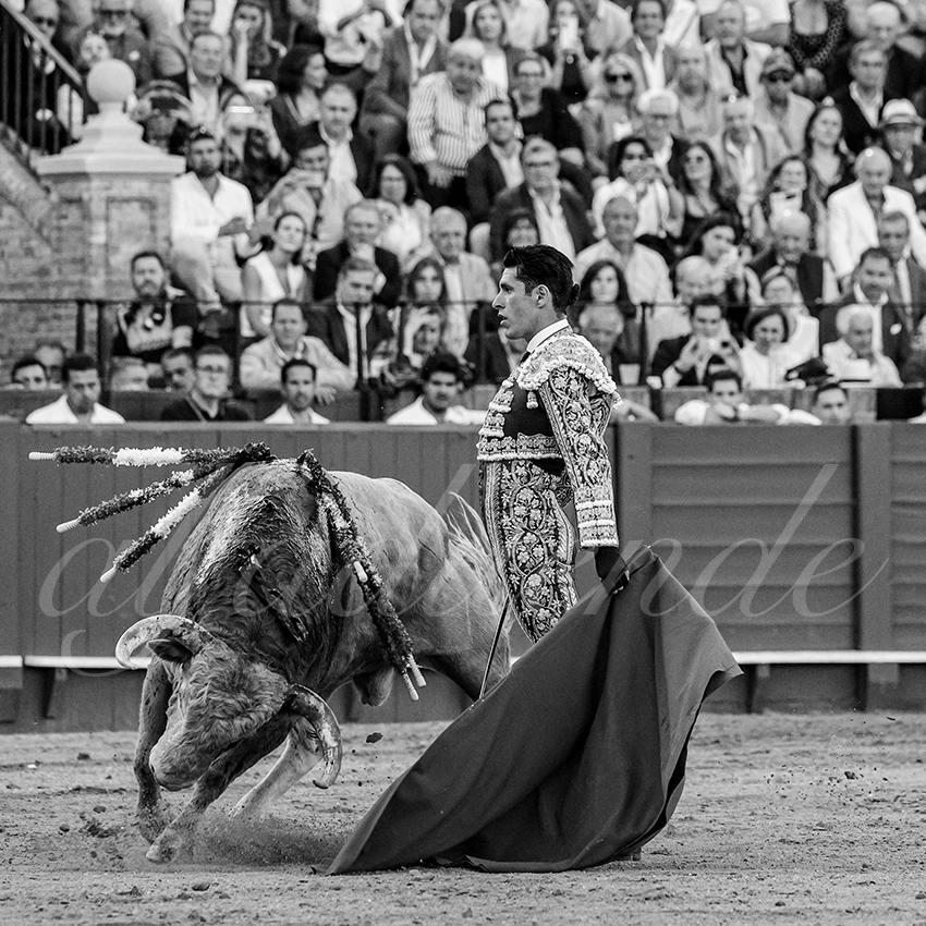 20240412 sevilla 015 bd