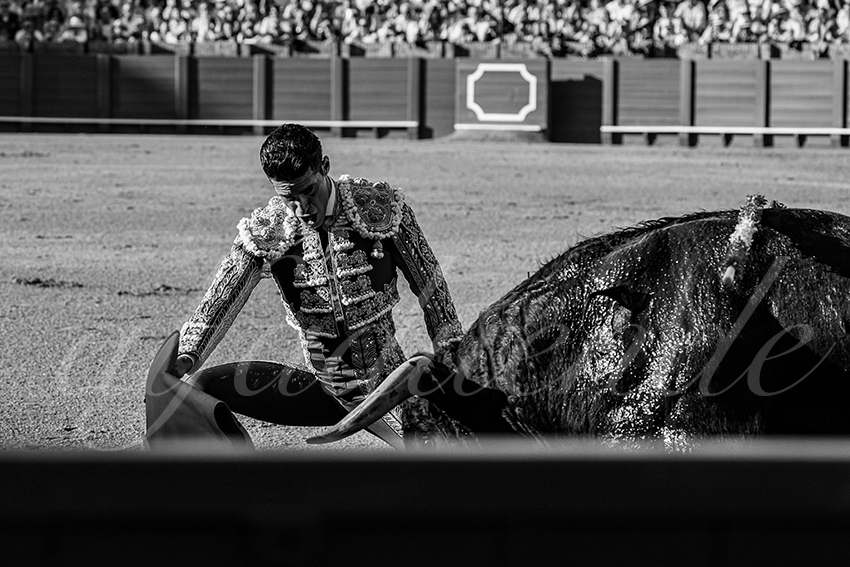 20240412 sevilla 013 bd