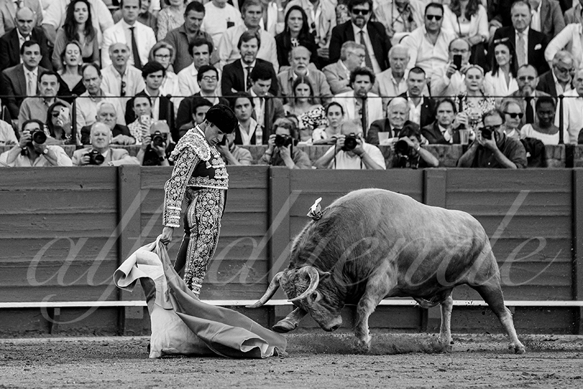 20240412 sevilla 012 bd