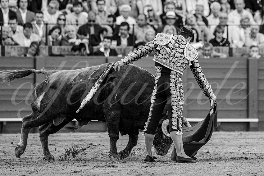 20240412 sevilla 009 bd