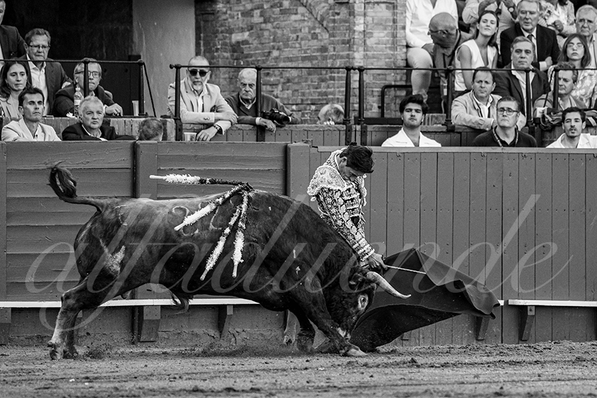 20240412 sevilla 008 bd