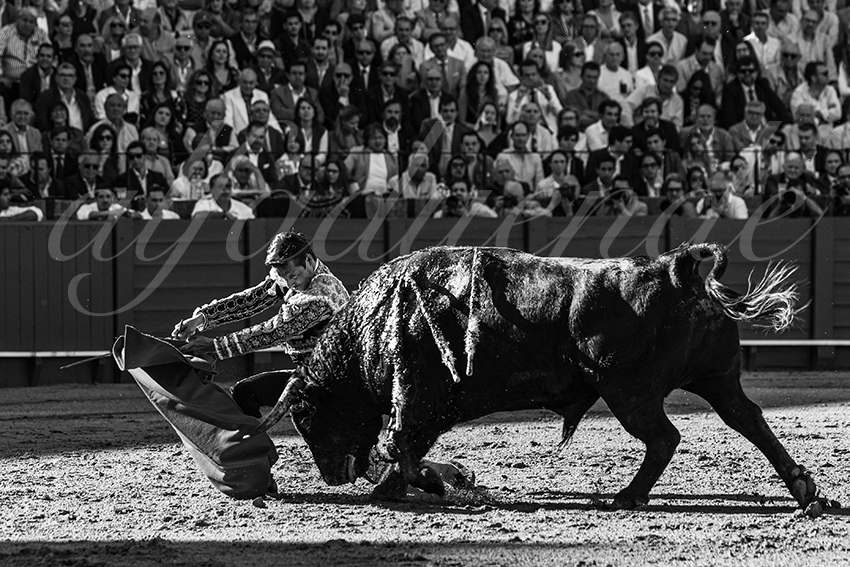 20240412 sevilla 006 bd