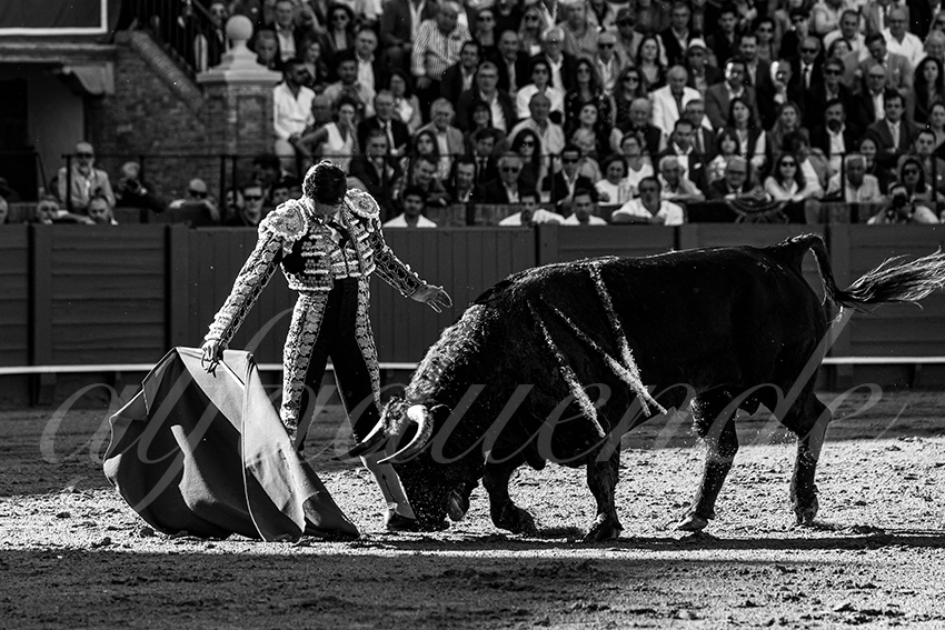 20240412 sevilla 004 bd