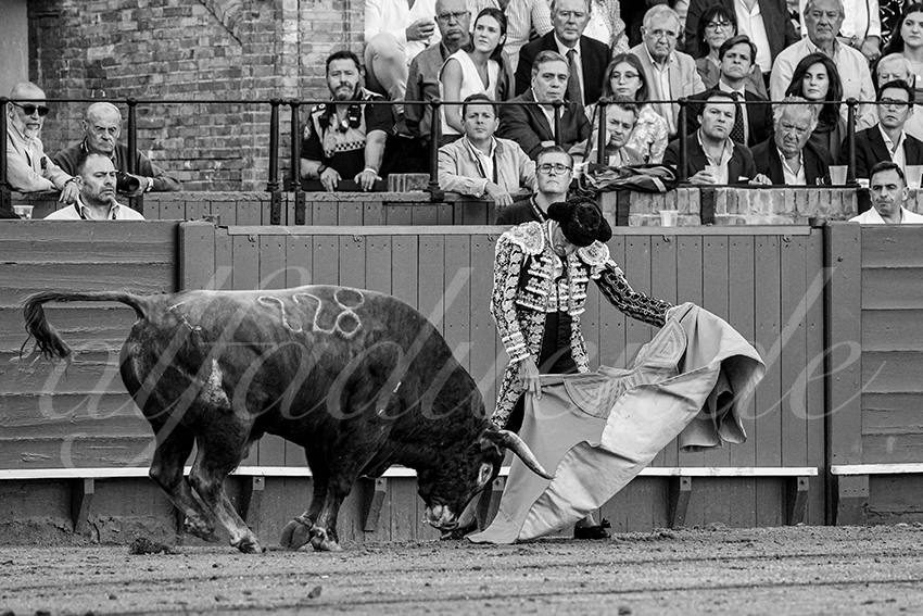 20240412 sevilla 003 bd