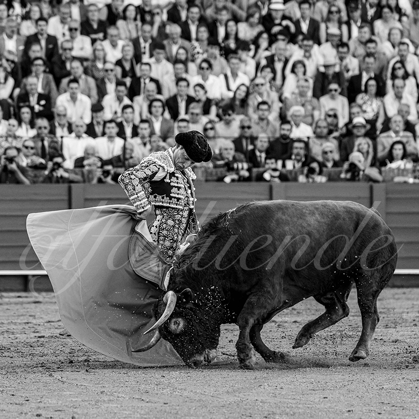 20240412 sevilla 002 bd