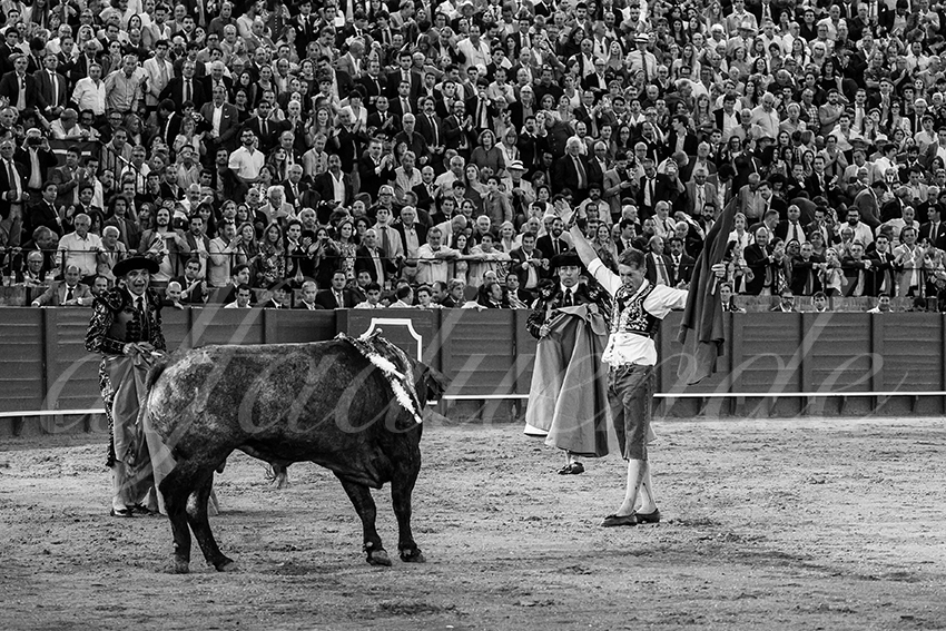 20240413 sevilla 041 bd