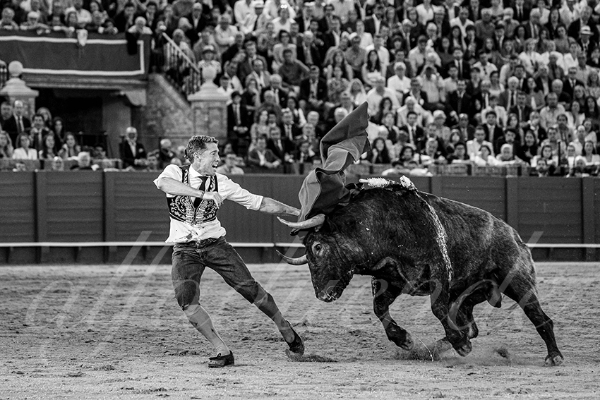 20240413 sevilla 040 bd