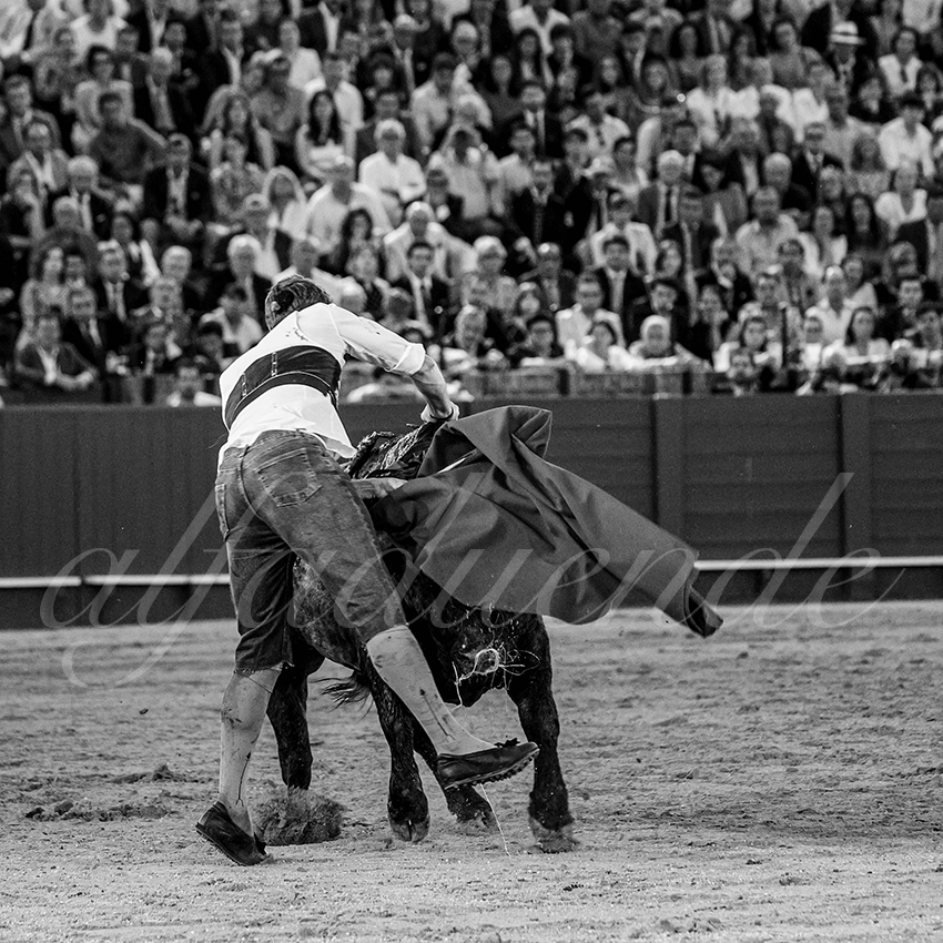 20240413 sevilla 039 bd