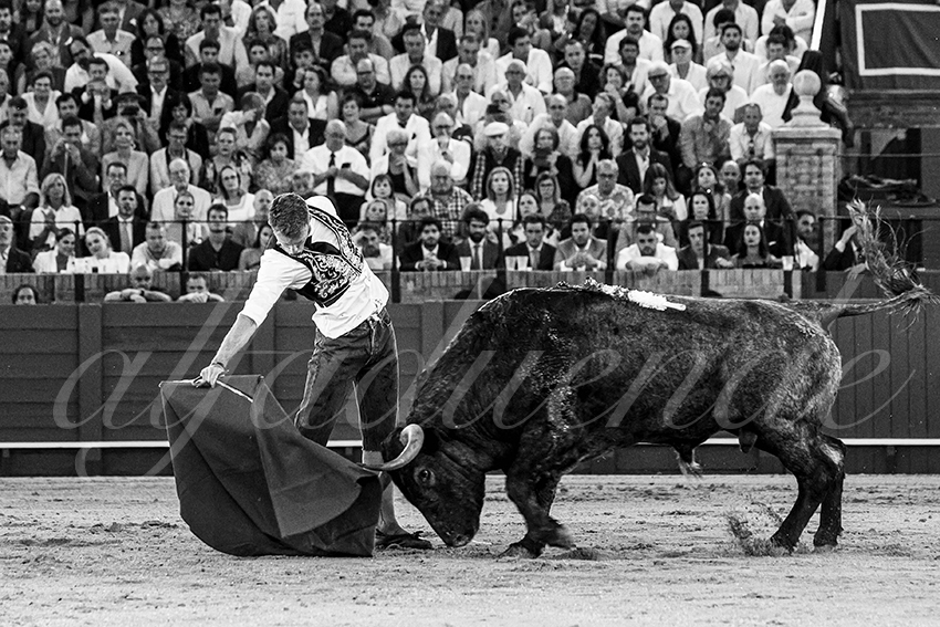 20240413 sevilla 038 bd