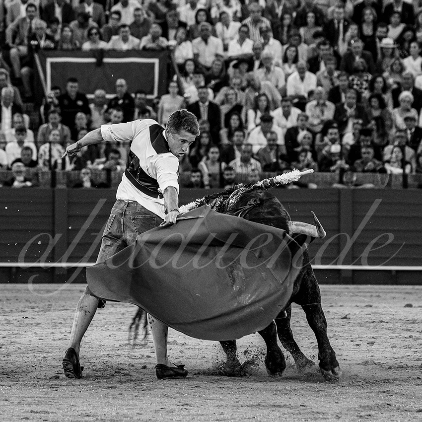 20240413 sevilla 037 bd