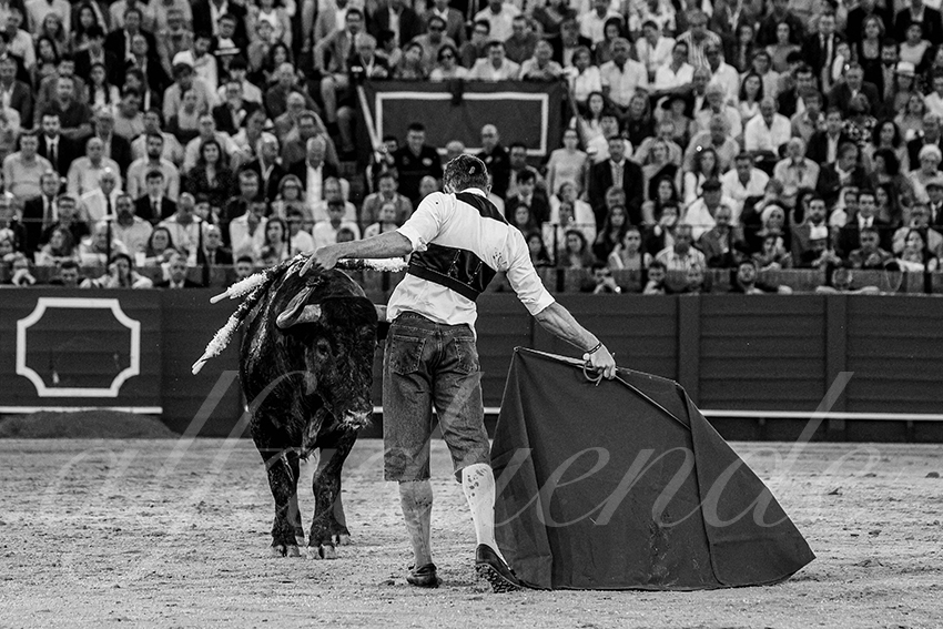 20240413 sevilla 036 bd