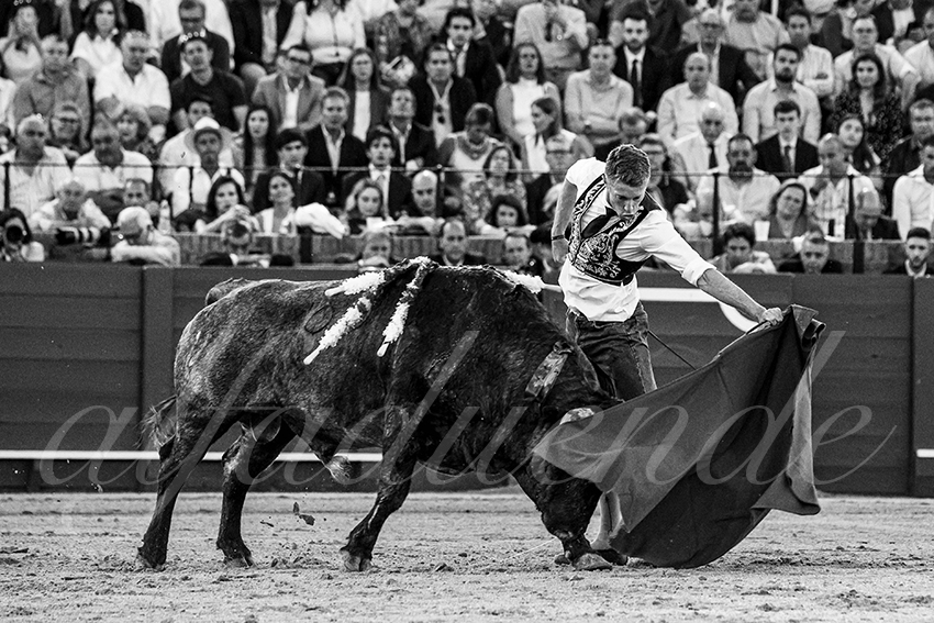 20240413 sevilla 035 bd