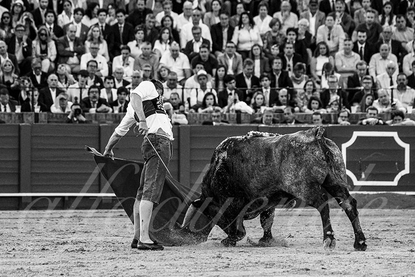 20240413 sevilla 034 bd