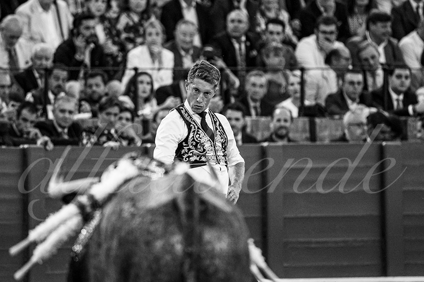 20240413 sevilla 033 bd