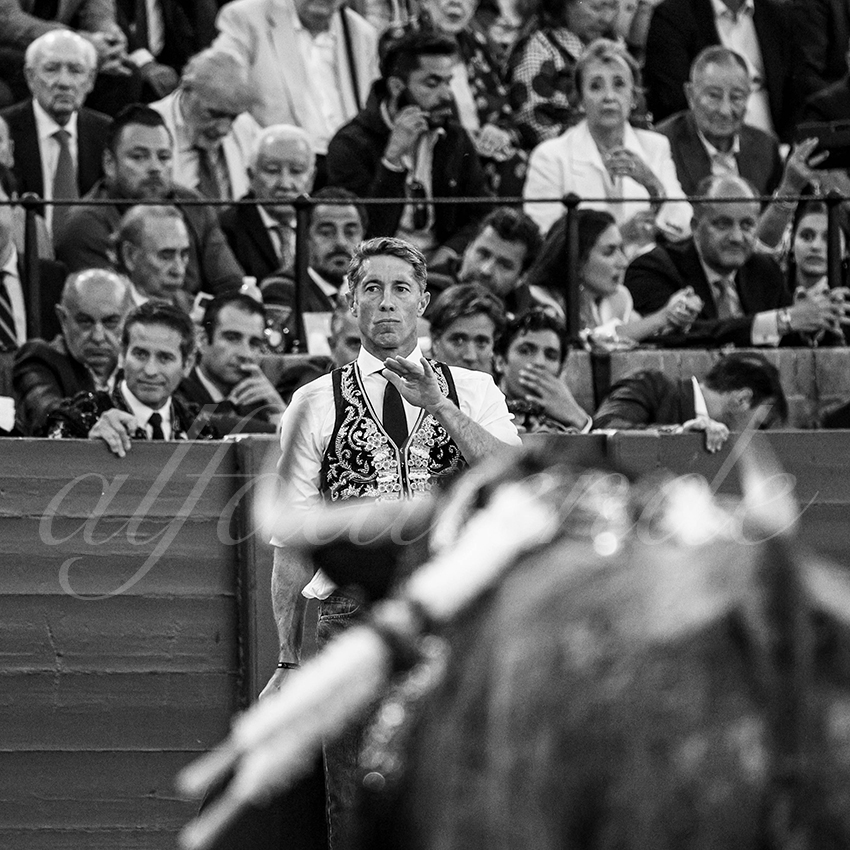 20240413 sevilla 032 bd