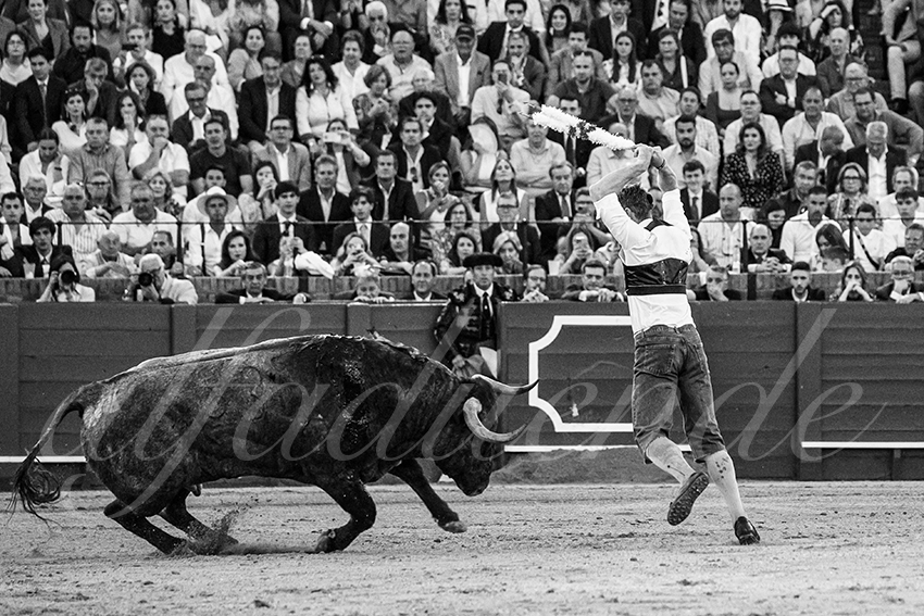 20240413 sevilla 031 bd