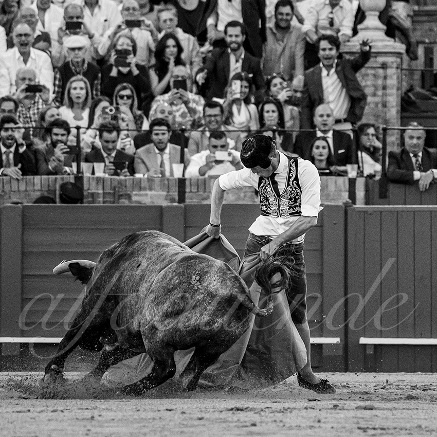 20240413 sevilla 029 bd