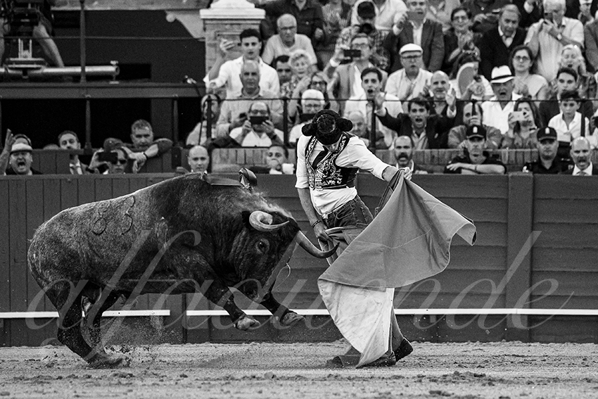 20240413 sevilla 028 bd