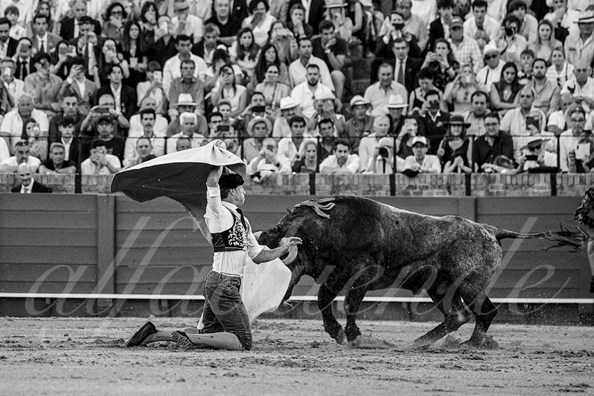 20240413 sevilla 027 bd