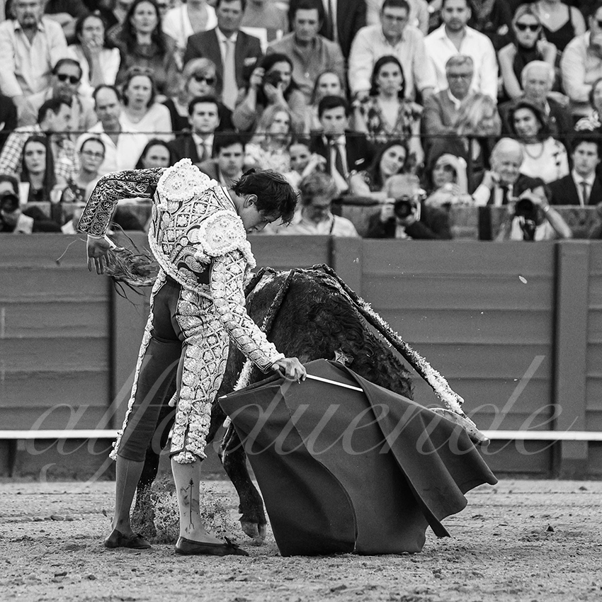 20240413 sevilla 024 bd