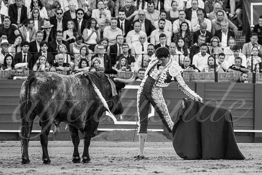 20240413 sevilla 023 bd