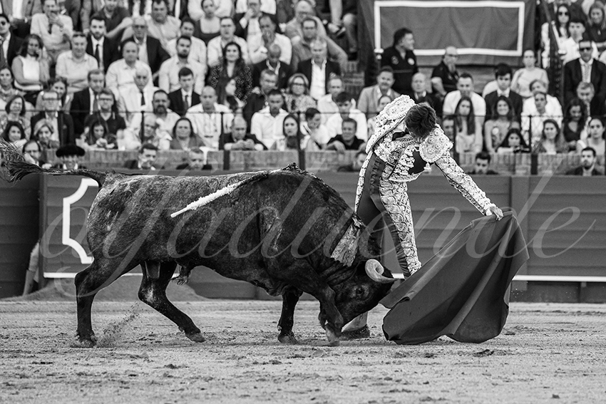 20240413 sevilla 022 bd