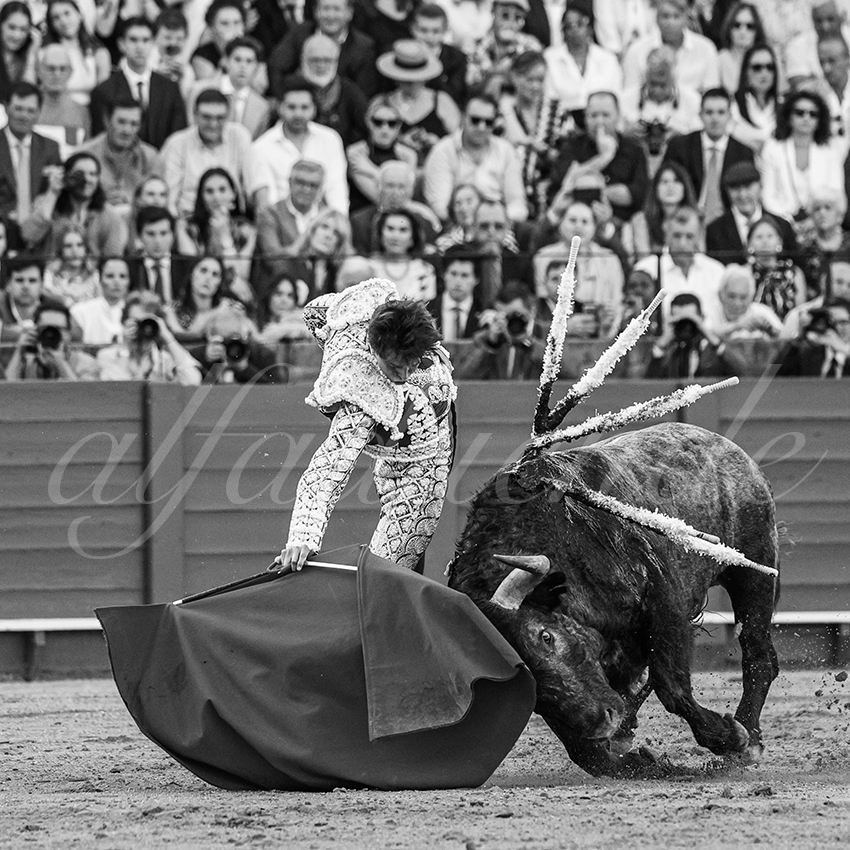 20240413 sevilla 021 bd