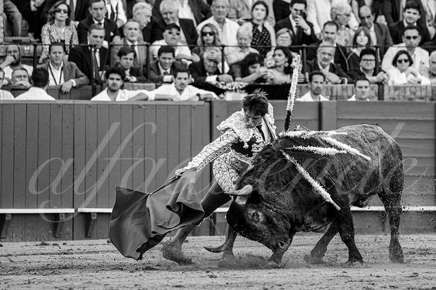 20240413 sevilla 020 bd