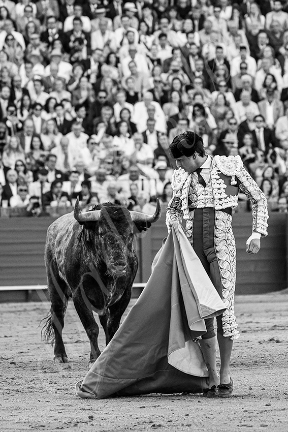 20240413 sevilla 019 bd