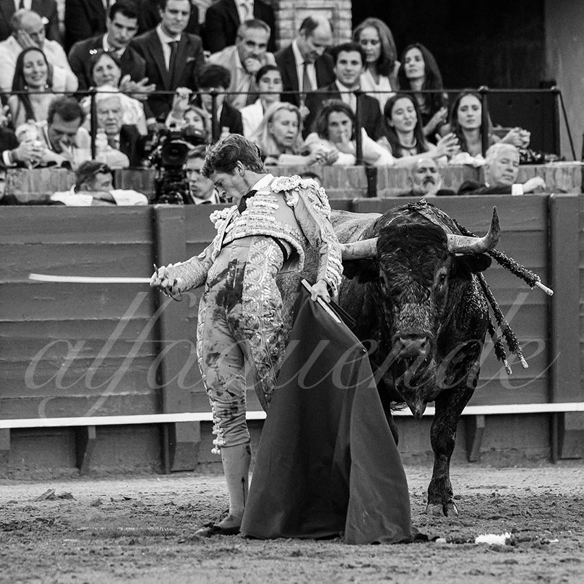 20240413 sevilla 017 bd