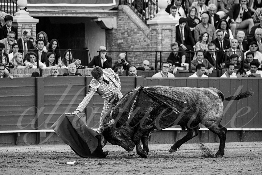 20240413 sevilla 016 bd