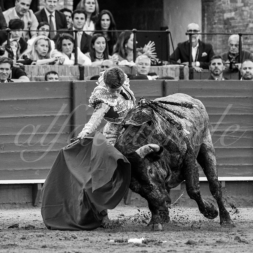 20240413 sevilla 015 bd