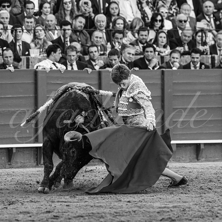 20240413 sevilla 014 bd