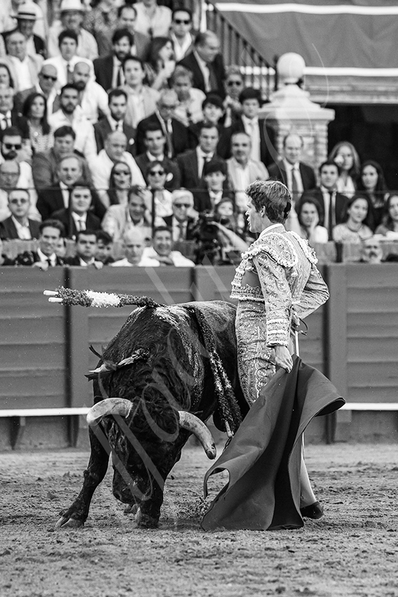 20240413 sevilla 013 bd