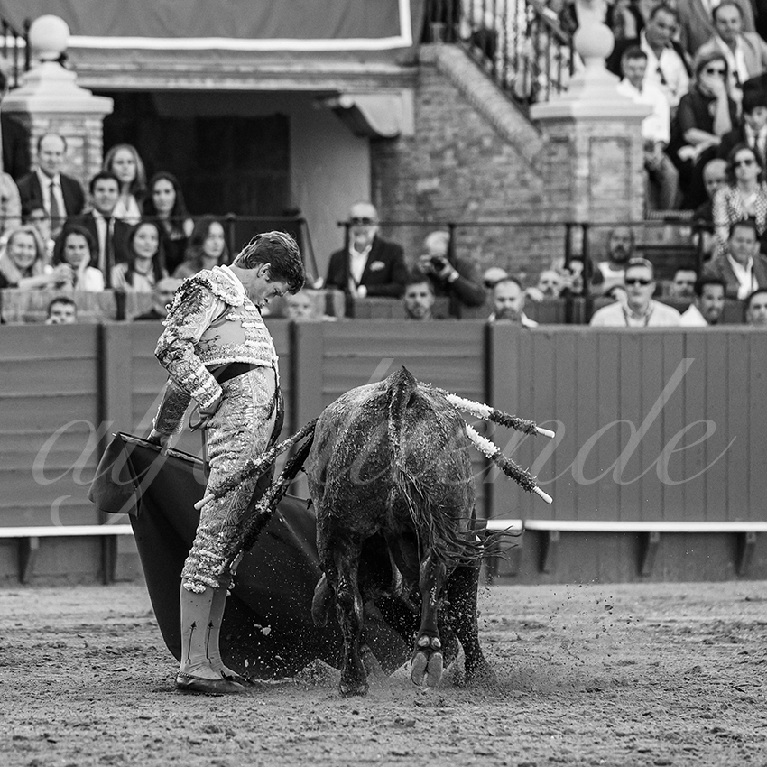 20240413 sevilla 012 bd