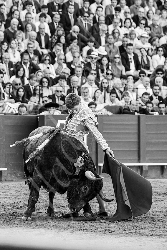 20240413 sevilla 011 bd