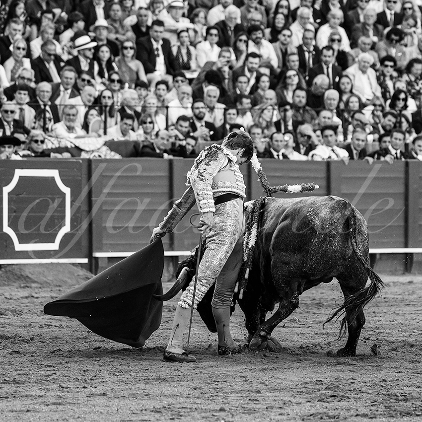 20240413 sevilla 010 bd