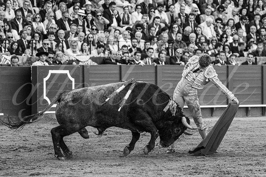 20240413 sevilla 009 bd