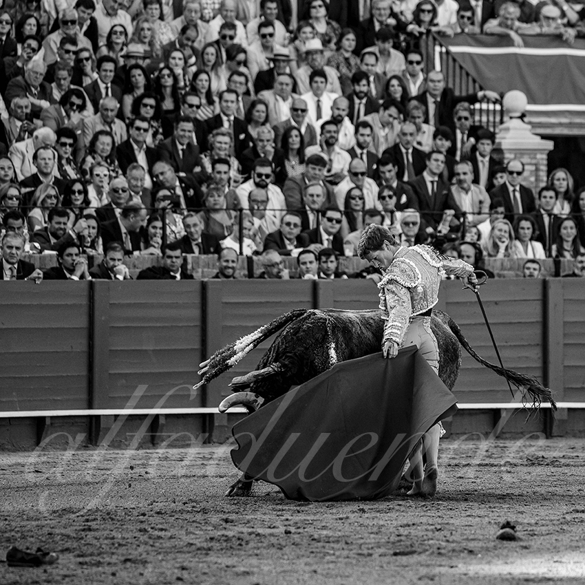 20240413 sevilla 008 bd