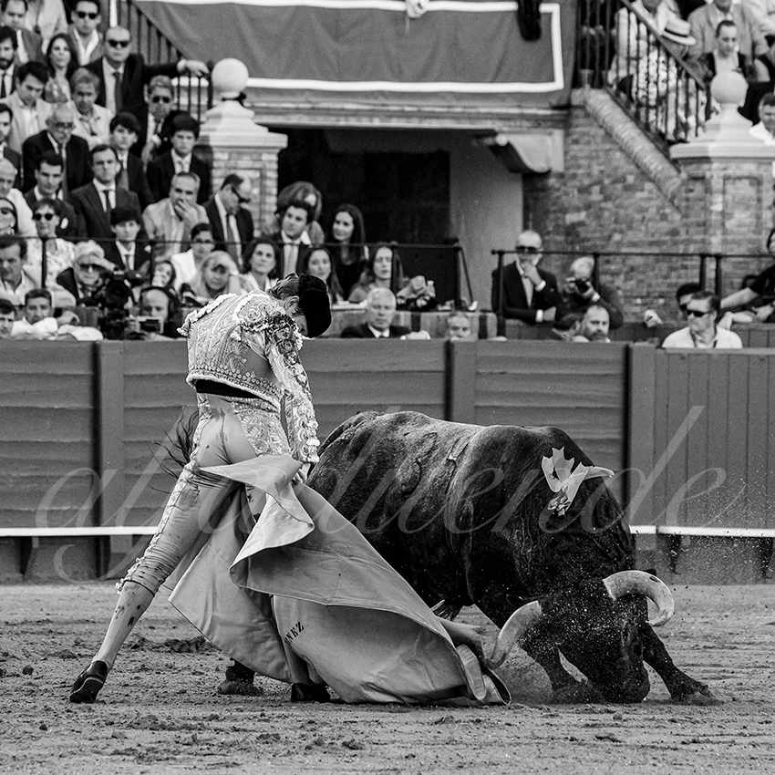 20240413 sevilla 007 bd