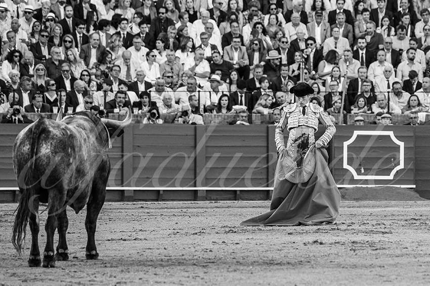 20240413 sevilla 006 bd