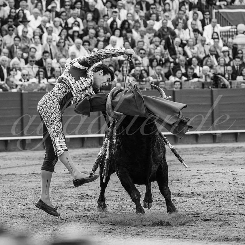 20240417 sevilla 026 bd