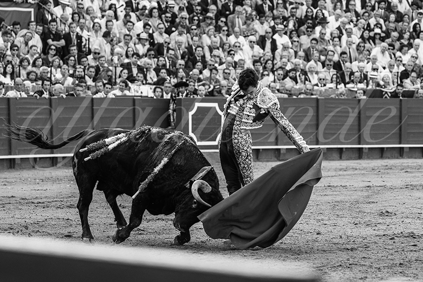 20240417 sevilla 025 bd