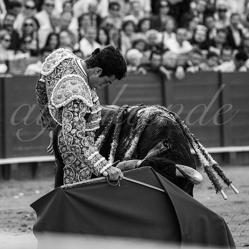 20240417 sevilla 024 bd