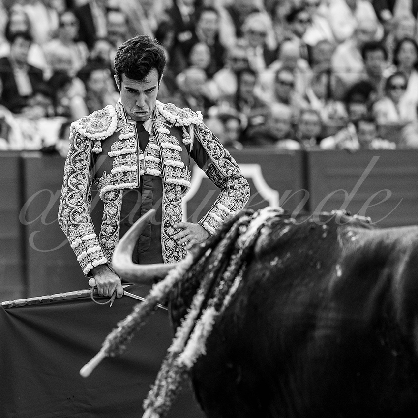 20240417 sevilla 023 bd