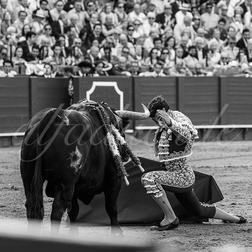 20240417 sevilla 022 bd